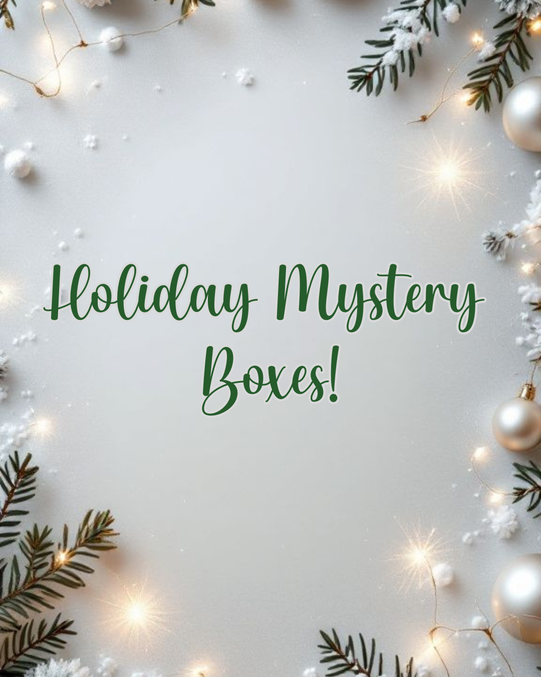 Holiday Mystery Box!