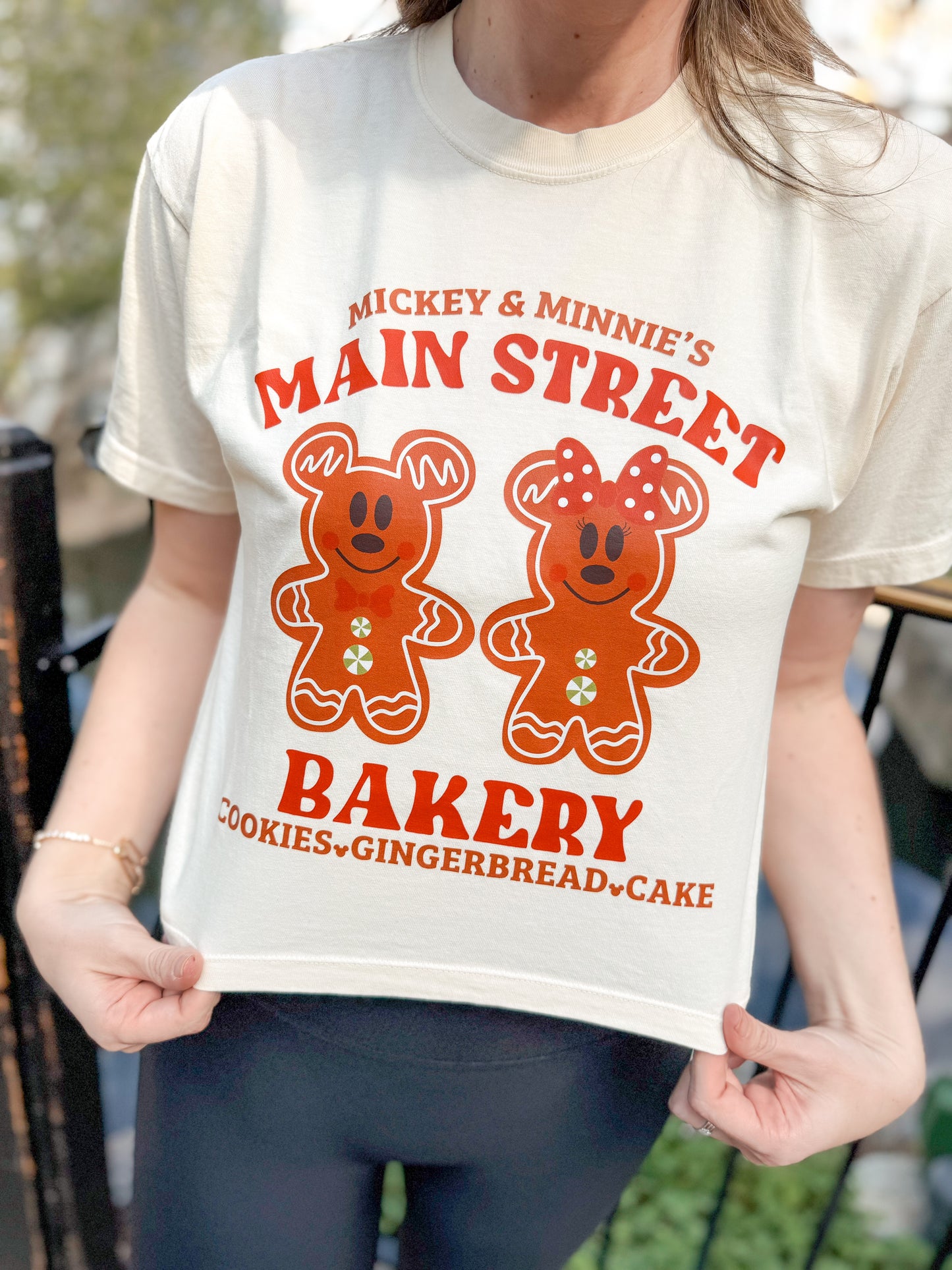Gingerbread Dreams Boxy Crop and Crewneck
