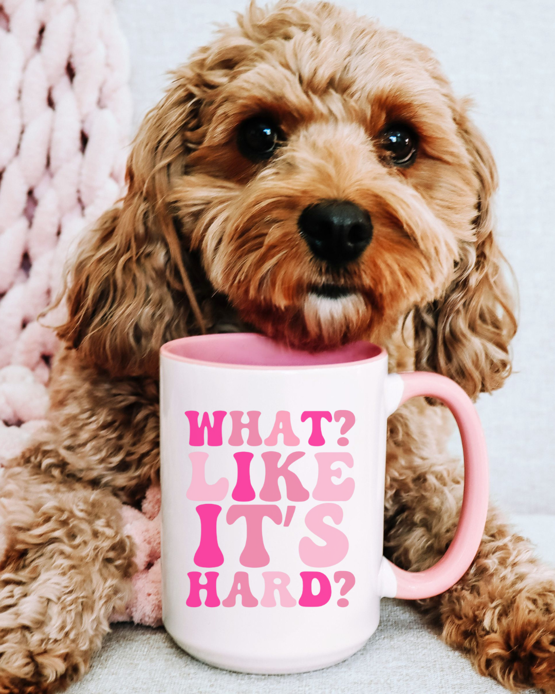 What Like It's Hard Mug